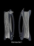 Kite Flying Lines 22m lines DCPro